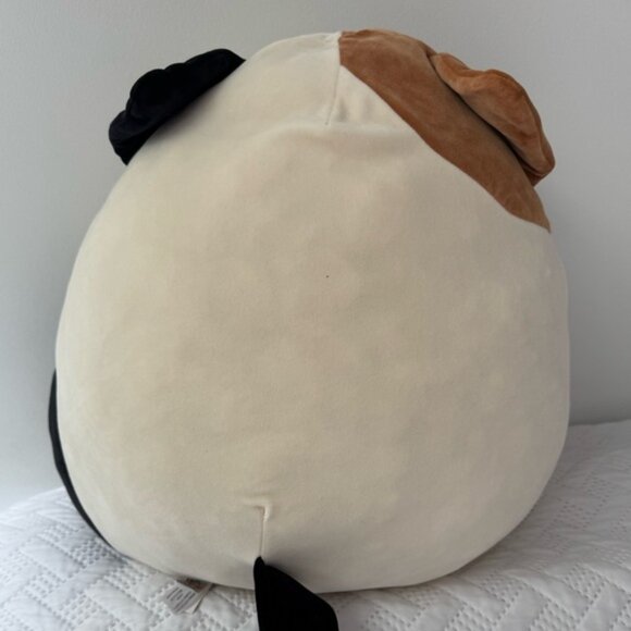 Squishmallows Cam Plush Cat Cream, Black, and Brown Large Cuddly 16 Inches - Picture 4 of 7